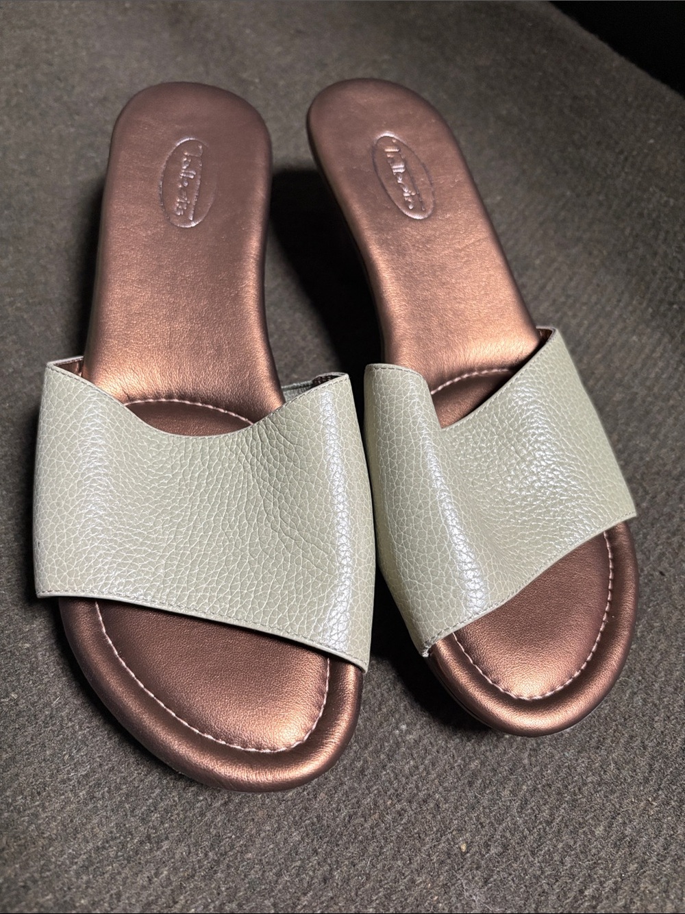Talbots Slide Sandals with Light Green Leather Strap and Bronze Footbed